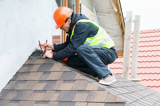 Best Roof Gutter Cleaning  in North Royalton, OH